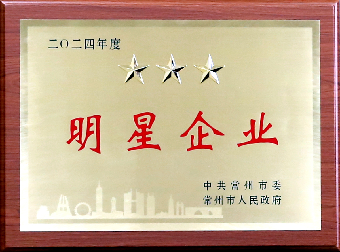 2024年三星企業(yè)獎牌_副本.jpg